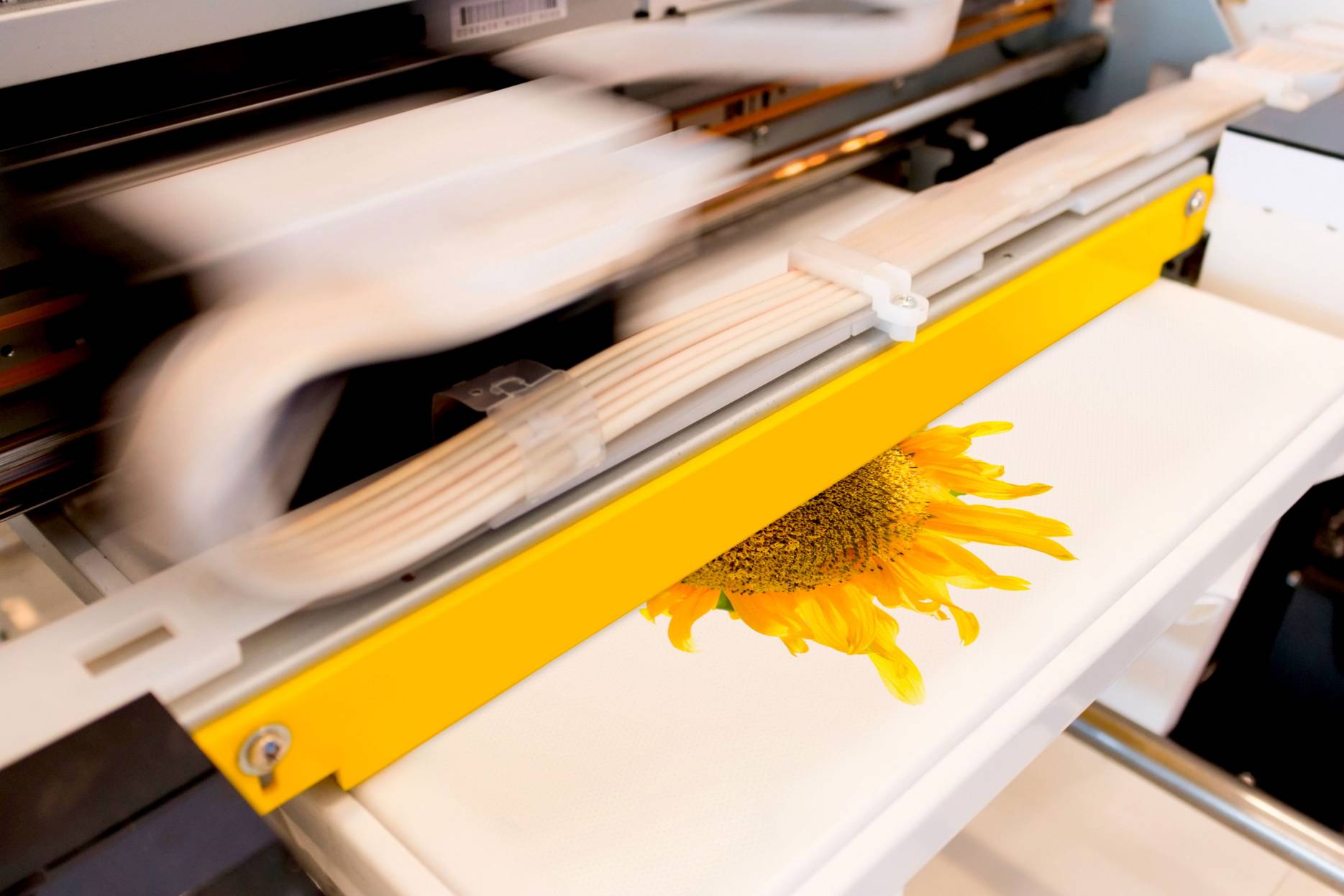 digitalprint
